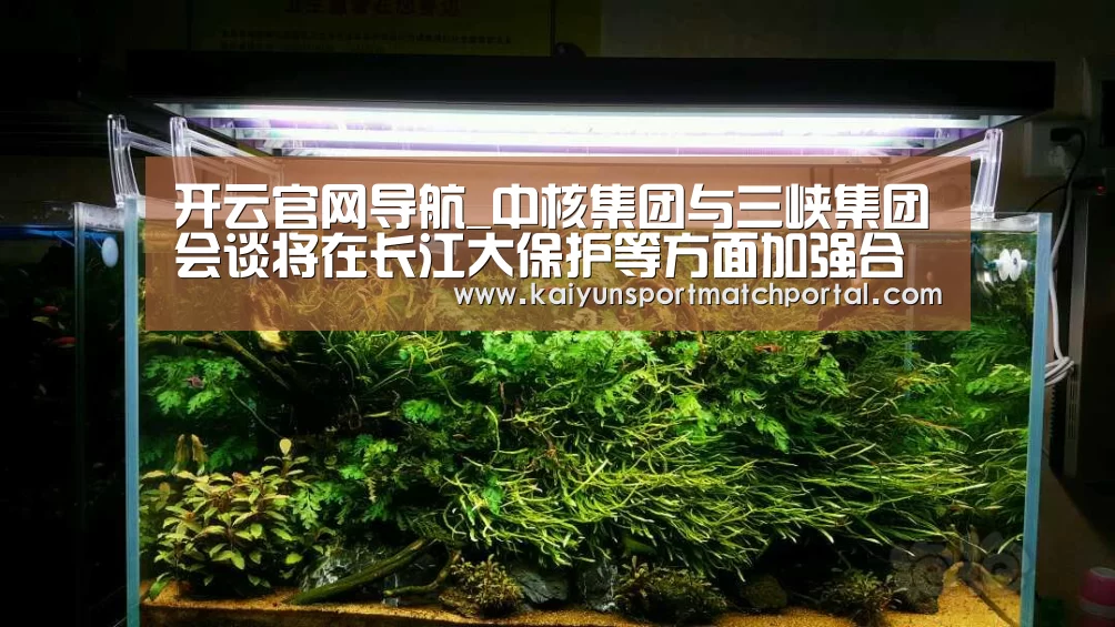 开云官网导航