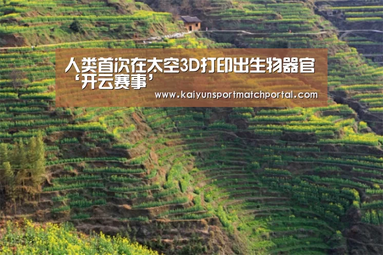 开云官网导航