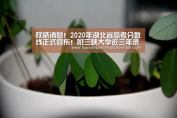 权威消息!2020年湖北省高考分数线正式宣布!附三峡大学近三年录取分数线‘KAIYUN官网’(图2) 开云体育直播