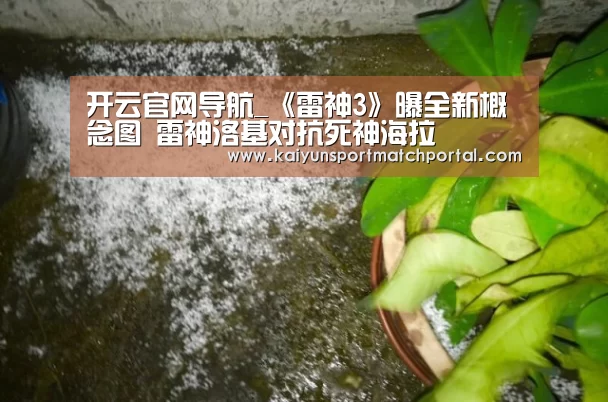 KAIYUN官网