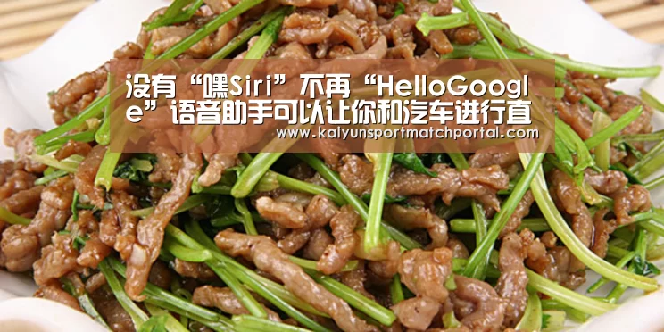 没有“嘿Siri”不再“HelloGoogle”语音助手可以让你和汽车进行直接对话!-KAIYUN官网(图2) 开云赛事